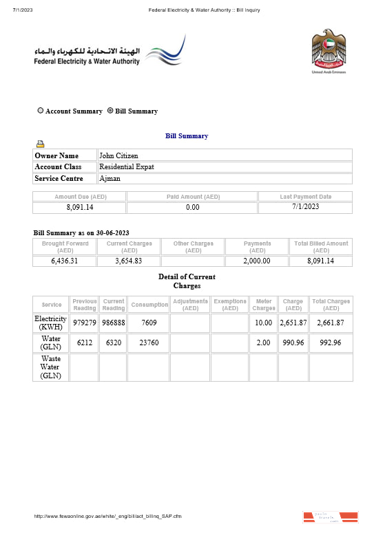 UAE Dubai Federal Electricity & Water Authority electricity, water utility bill Word and PDF formats